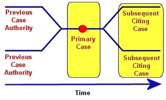 Tree structure (forwards and backwards in time) highlighting the primary case and subsequent cases.